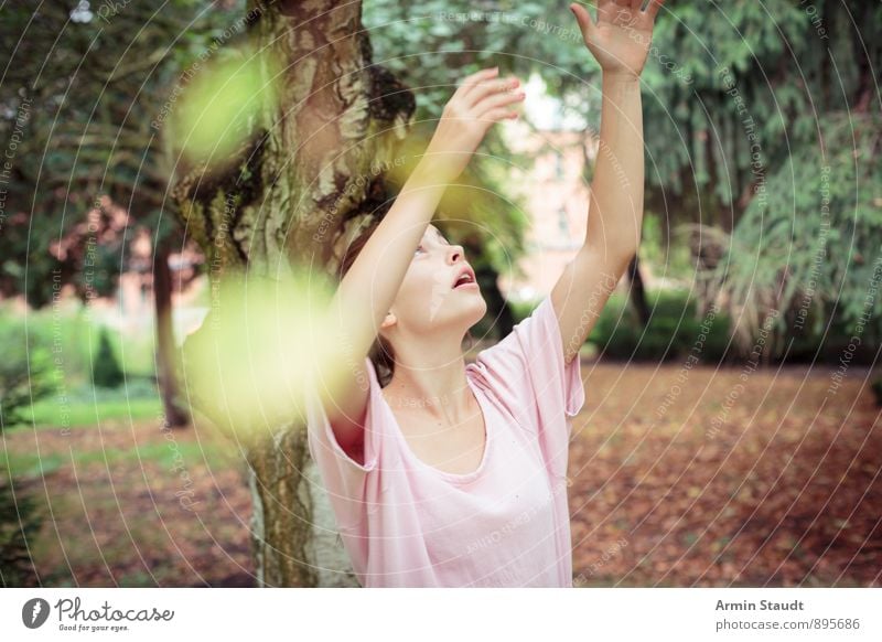 Nach oben Greifen Mensch feminin Jugendliche Arme 1 13-18 Jahre Kind Natur Luft Herbst Pflanze Garten Park Wald T-Shirt brünett berühren Bewegung Spielen Ferne