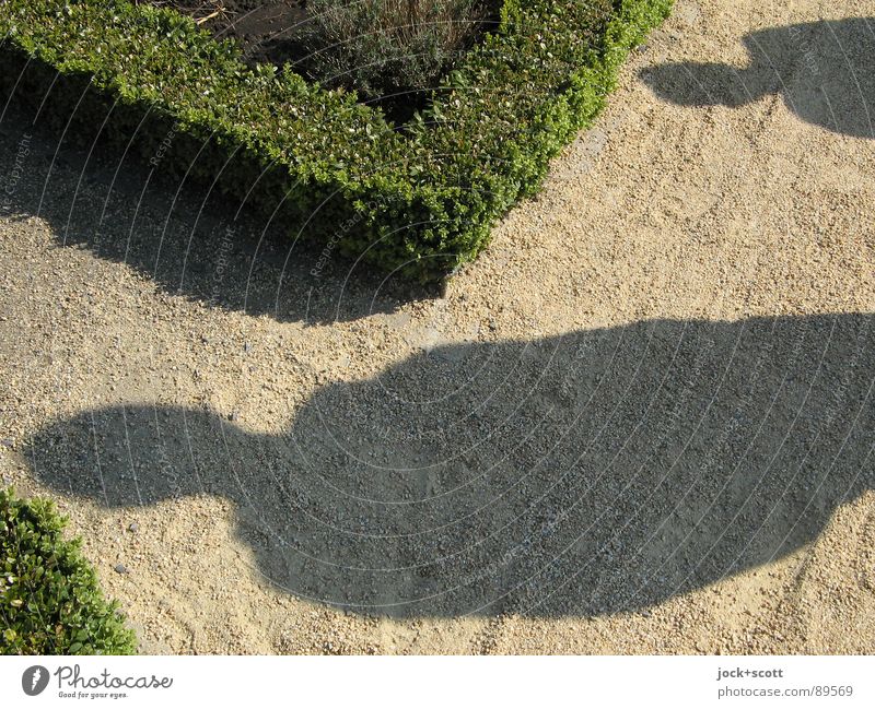 Schattenspiel im Klostergarten Erholung Mensch Park grün Zeit Hecke Entwicklung Fragen Richtung vorwärts hintereinander Grenze wahrnehmen Schlagschatten