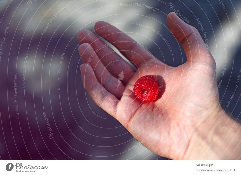 himbeerig. Kunst ästhetisch Himbeeren rot Hand Finger Fingerfood Frucht reif Gesundheit Foodfotografie Gesunde Ernährung Diät sparsam Farbfoto Gedeckte Farben