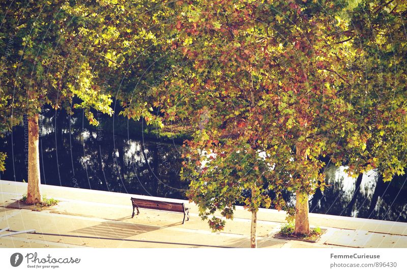 LaFrance_01 Natur Sommer Herbst Baum Garten Park ruhig Baumkrone Flussufer Parkbank herbstlich sommerlich Reflexion & Spiegelung Erholung Urlaubsort Bank