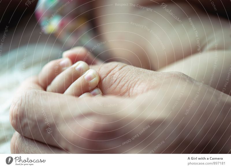 verbundenheit Mensch Baby Vater Erwachsene Hand 2 Liebe Identität Kindheit Kontakt Zusammenhalt trösten eng Zusammensein Mutterliebe Schutz festhalten