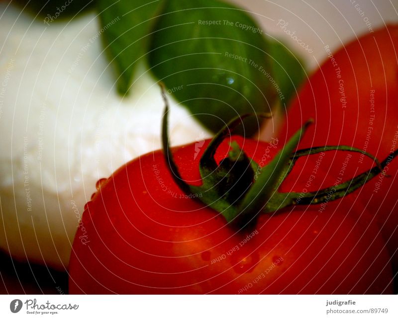 Abendessen Olivenöl Vorspeise Caprese Basilikum Stengel rot grün Holz Lebensmittel mehrfarbig Halm Ernährung Mahlzeit Italien Capri Vegetarische Ernährung