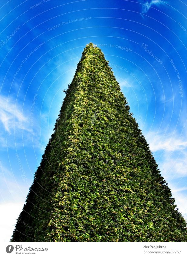 3d-Wiese weiß Wolken dreidimensional Sträucher Dreieck grün Wahrzeichen Denkmal Himmel blau Rasen Pyramide Kontrast Strukturen & Formen