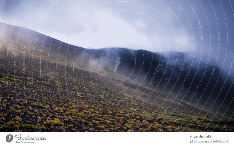 Wetterumschwung Umwelt Natur Landschaft Pflanze Urelemente Luft Herbst Klima Klimawandel schlechtes Wetter Nebel Sträucher Berge u. Gebirge Hochgebirge Japan