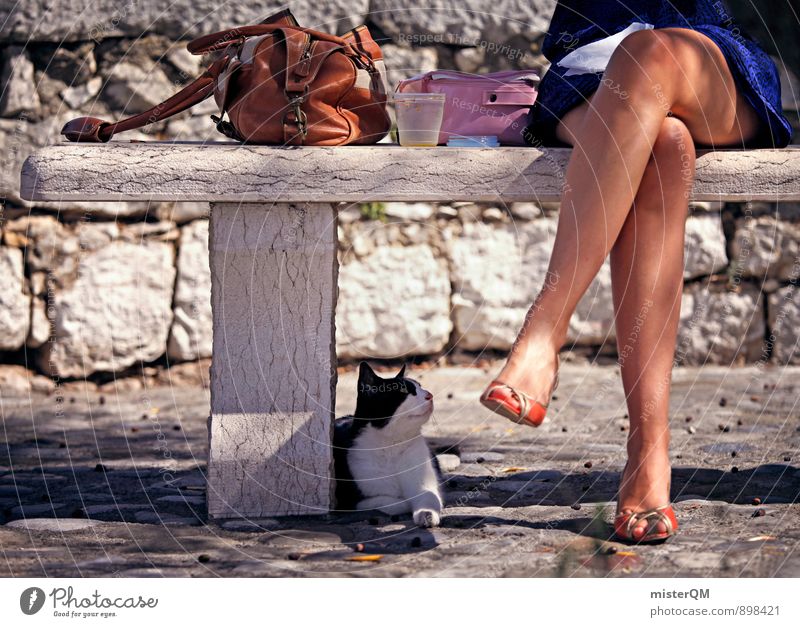 Mittagsbank. Kunst ästhetisch Zufriedenheit Frankreich Südfrankreich Urlaubsstimmung Urlaubsort Urlaubsflirt Beine Halbschatten Bank Katze Katzenfreund Blick