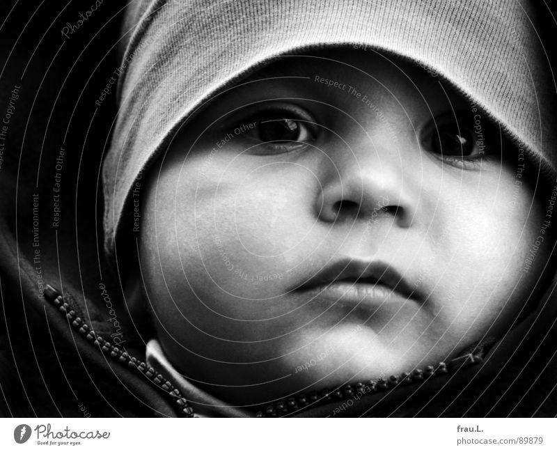 Noah Kleinkind Porträt Geborgenheit ernst Denken Baby Konzentration Mensch Gesicht Kind Traumprinz Glück beobachten