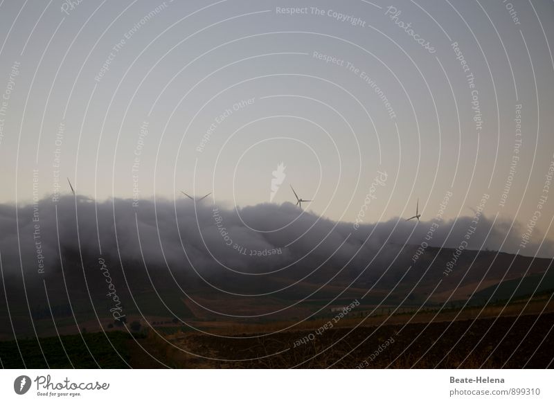 Schaumschlägerei Natur Landschaft Urelemente Himmel Sommer Wetter Wind Nebel Sizilien ästhetisch dunkel wild blau braun grau Energie Windkraftanlage Nebelbank