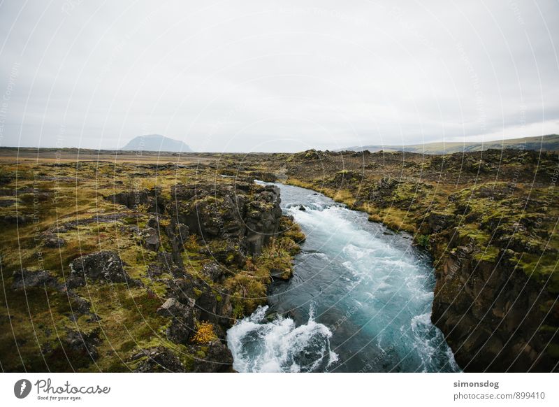 I'm in Iceland. Umwelt Natur Landschaft Urelemente Wasser Wolken Horizont Gras Sträucher Moos Hügel Felsen Fluss Idylle Ferien & Urlaub & Reisen Island