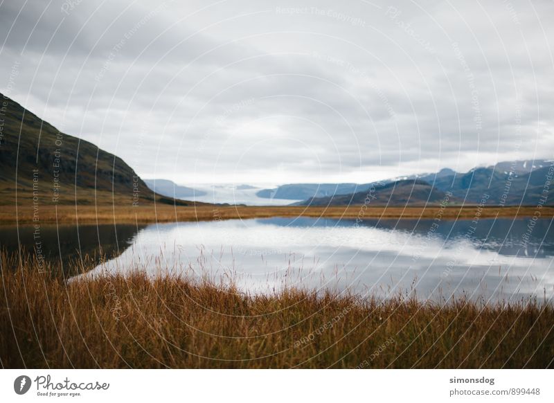 I'm in Iceland. Natur Landschaft Wolken Herbst Dürre Pflanze Sträucher Berge u. Gebirge Gletscher See Ferien & Urlaub & Reisen Island Reflexion & Spiegelung