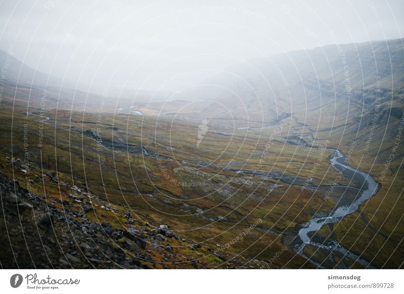 I'm in Iceland. Natur Landschaft Wolken Horizont Sträucher Moos Bach Fluss Ferien & Urlaub & Reisen Island Tal Talblick Aussicht Flußbett Dunst Nebel