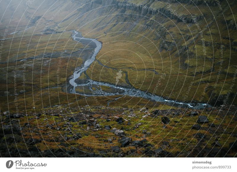 I'm in Iceland. Natur Landschaft Herbst Moos Bach Fluss braun grün Flußbett Island Tal Talblick Moosteppich Farbfoto Gedeckte Farben Außenaufnahme Menschenleer