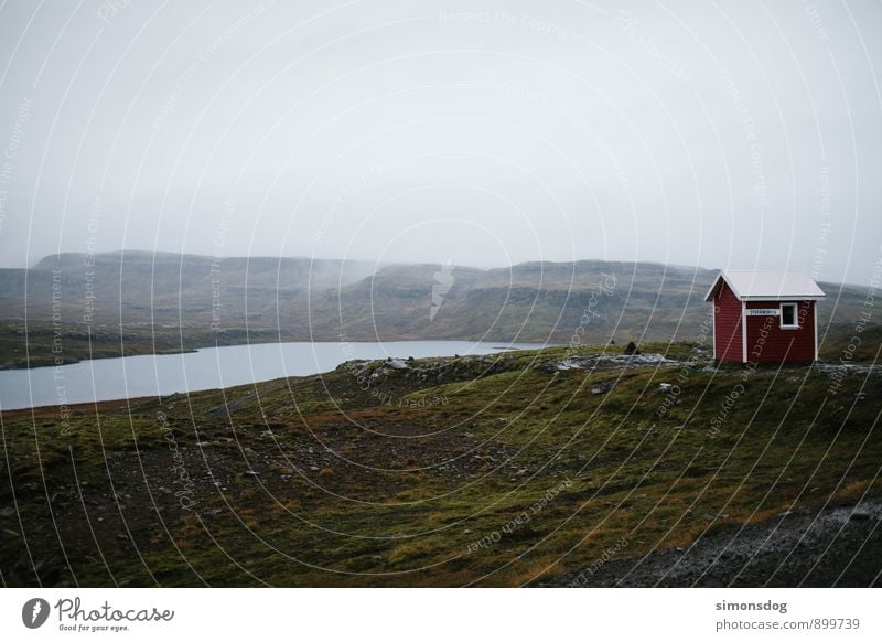 I'm in Iceland. Landschaft Herbst See Ferien & Urlaub & Reisen Island Hütte Haus Moosteppich Regenwasser Wolken Ferienhaus Einsamkeit Aussicht Farbfoto