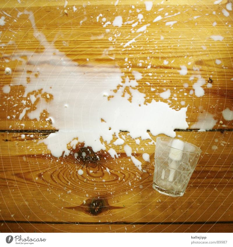menschliches versagen Milch Behälter u. Gefäße Tanzfläche Bodenbelag Holz Parkett Schiffsplanken Missgeschick Unfall Scherbe klecksen weiß Lebensmittel