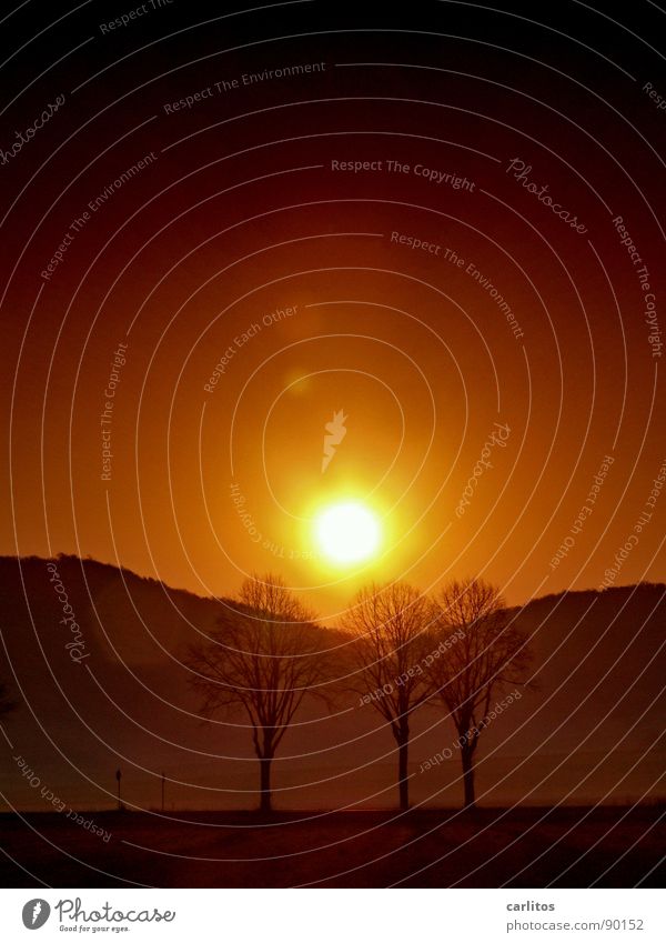 Klimawandel Allee Landstraße Bundesstraße Abend Sonnenuntergang Gegenlicht blenden Baum Silhouette Hügel Abstufung Treibhausgas Glut Physik heiß löschen