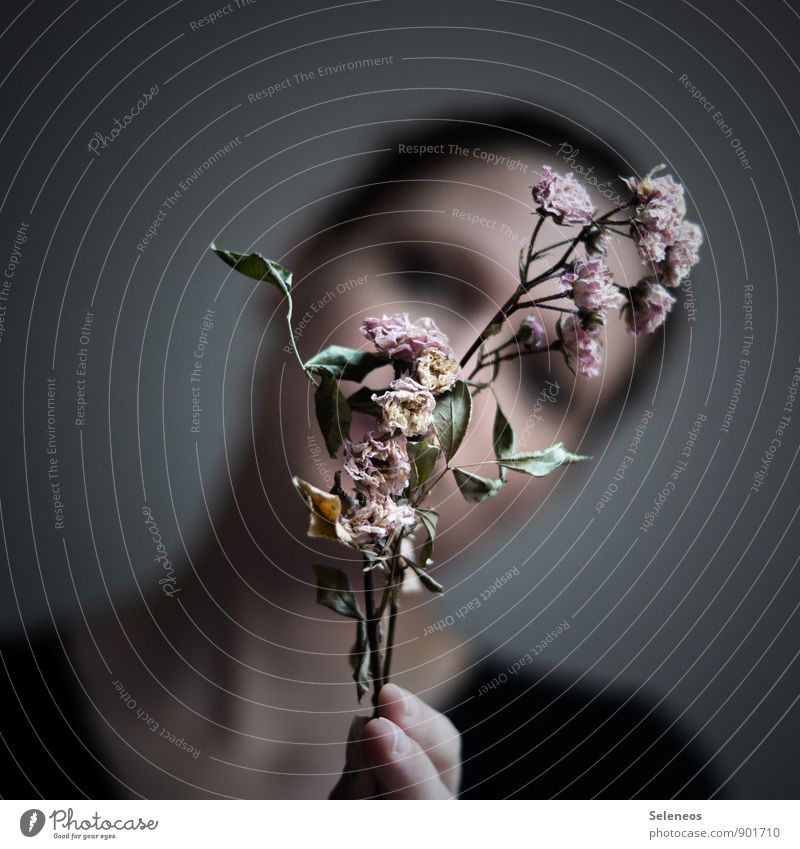 eleganter Knicks Mensch Frau Erwachsene Haare & Frisuren Gesicht 1 Umwelt Natur Herbst Blume Blatt Blüte dehydrieren nah natürlich trocken Gefühle Traurigkeit