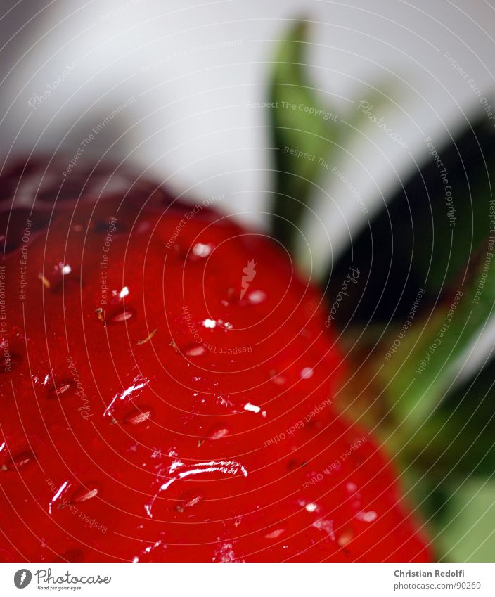 Strawberry Makroaufnahme Fruchtfleisch grün weiß rot Erdbeeren Pflanze Nahaufnahme macrophotography