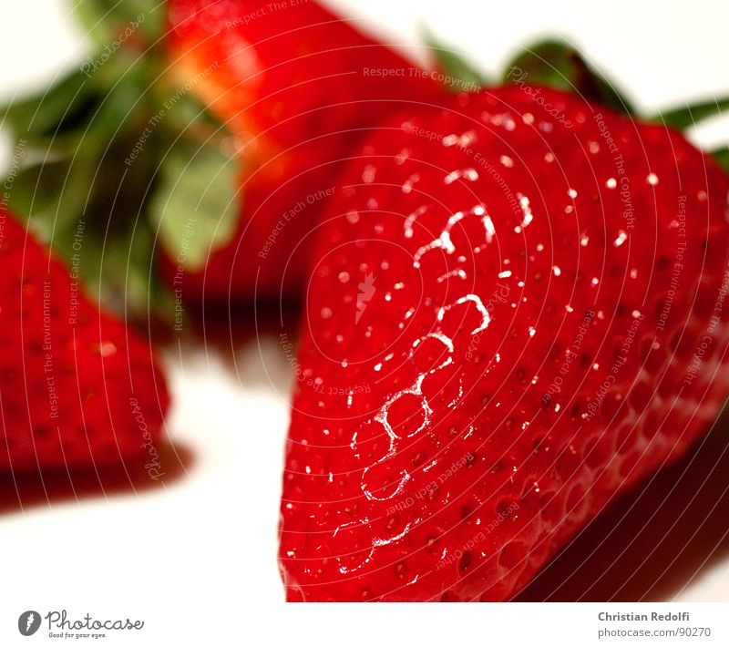 Strawberry 1 rot grün weiß Makroaufnahme Erdbeeren Frucht Fruchtfleisch Ernährung süß Vegetarische Ernährung Lebensmittel macrophotography Pflanze