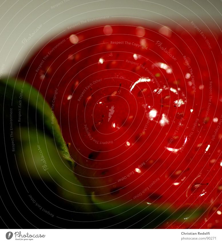 Strawberry 2 rot grün weiß Makroaufnahme Erdbeeren Frucht Fruchtfleisch Ernährung süß Nahaufnahme macrophotography Lebensmittel Pflanze