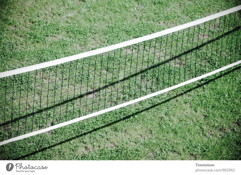 Bereit! Sport Netz Spielfeld Gras warten ästhetisch einfach Sauberkeit sportlich grün schwarz weiß Gefühle Schatten Linie Farbfoto Außenaufnahme Menschenleer