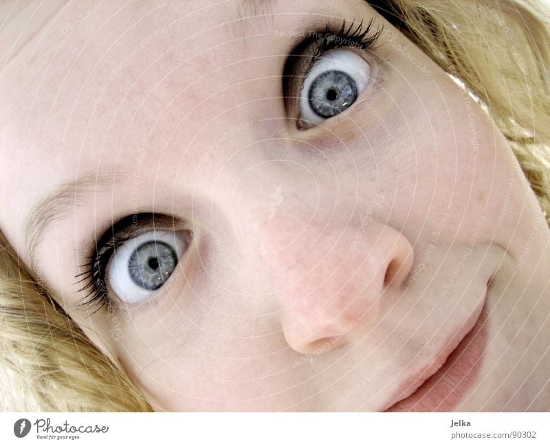 glotzkopf Haare & Frisuren Gesicht Mensch Frau Erwachsene Auge Nase Mund blond Locken blau lockig Wange grinsen Grimasse Gesichtsausdruck woman face faces eye