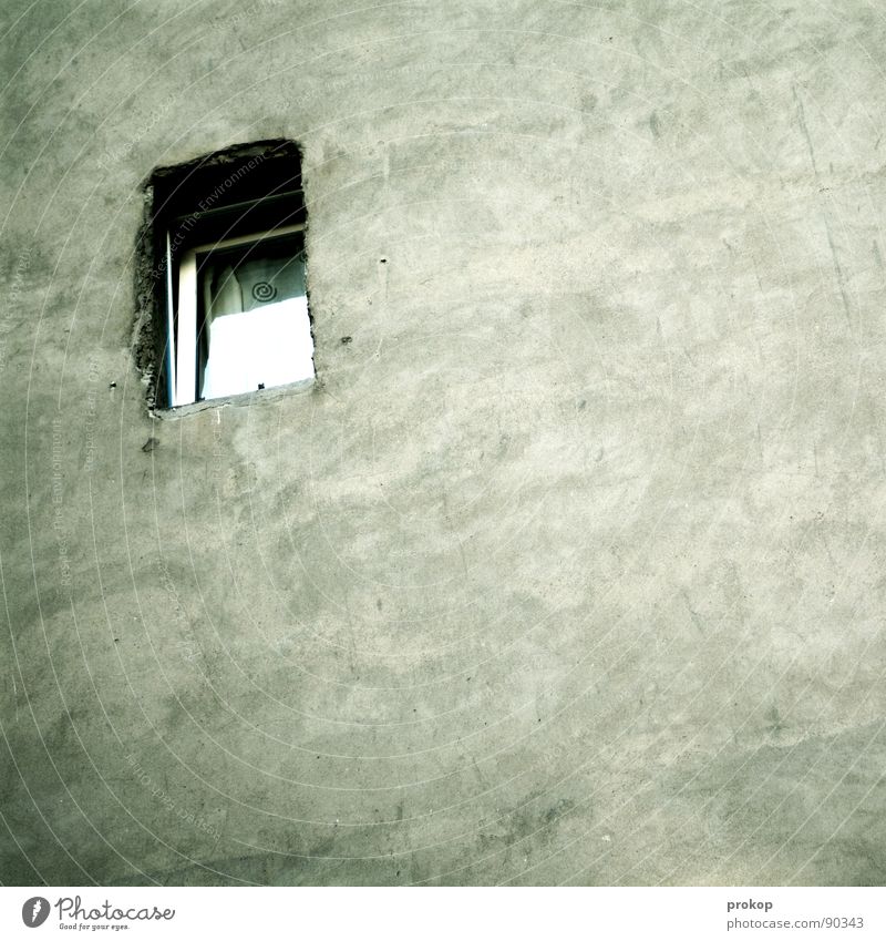 Leben Singleton Einsamkeit Isolierung (Material) Trauer Mauer gefangen eingeschlossen Käfig verroht Hintergrundbild Quadrat Textfreiraum Fenster Panik flach