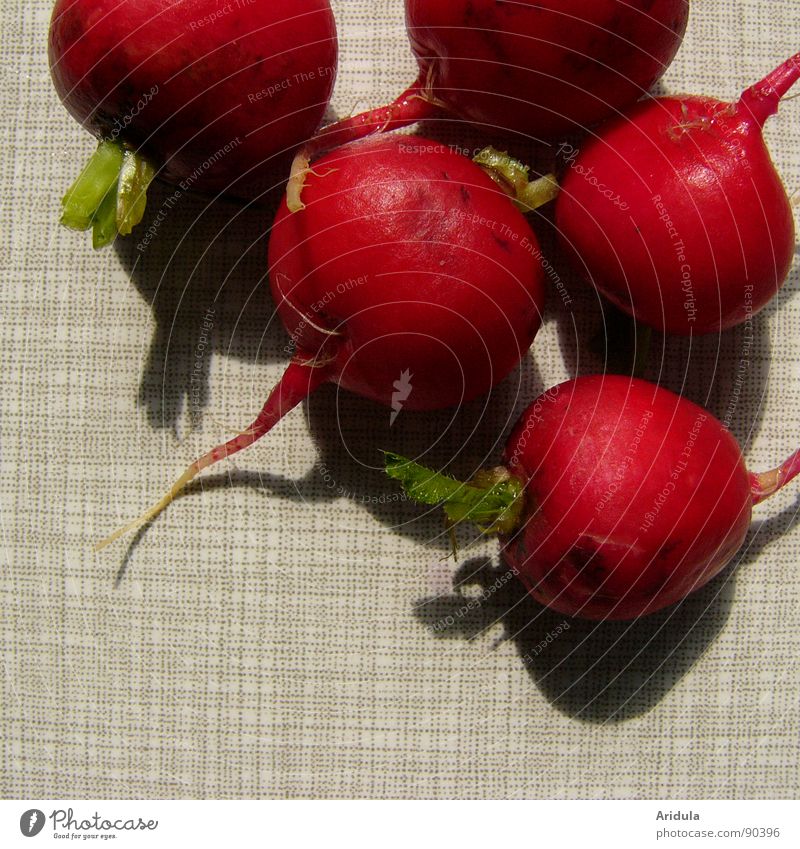 radischen No.1 rot rund Gesundheit Tisch Küche grün Gemüse Vegetarische Ernährung Schatten