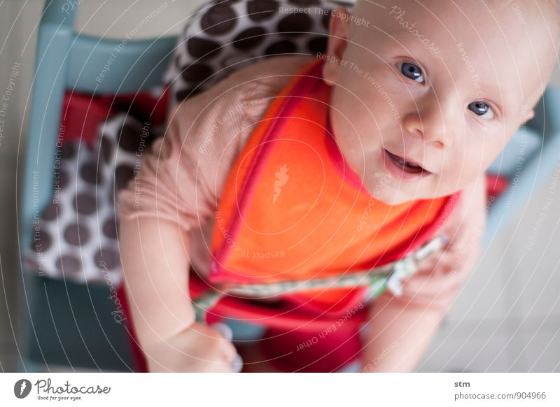 Baby auf Babystuhl mit Lätzchen Kind Familie & Verwandtschaft Kindheit Leben 1 Mensch 0-12 Monate T-Shirt Glatze Gefühle Zufriedenheit Lebensfreude Geborgenheit