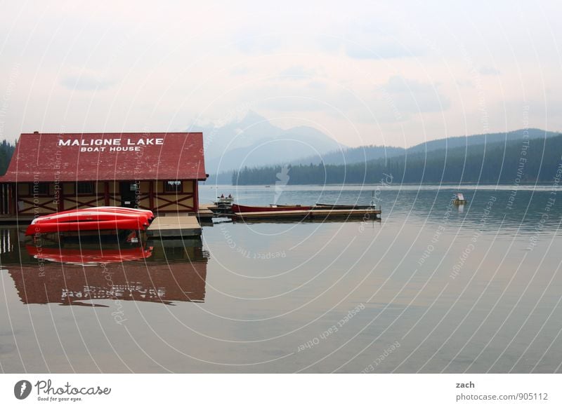 Ende der Saison Tourismus Ausflug Ferne Wassersport Kajak Kanu Kanadier Paddeln Rudern Ruderboot Wasserfahrzeug Steg Anlegestelle Wolken Sommer Herbst Baum Wald