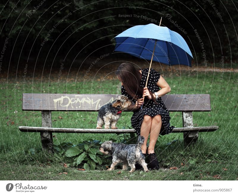 . Bank Parkbank feminin 1 Mensch 18-30 Jahre Jugendliche Erwachsene Schönes Wetter Wiese Wald Kleid Regenschirm Haare & Frisuren brünett langhaarig Tier Hund 2