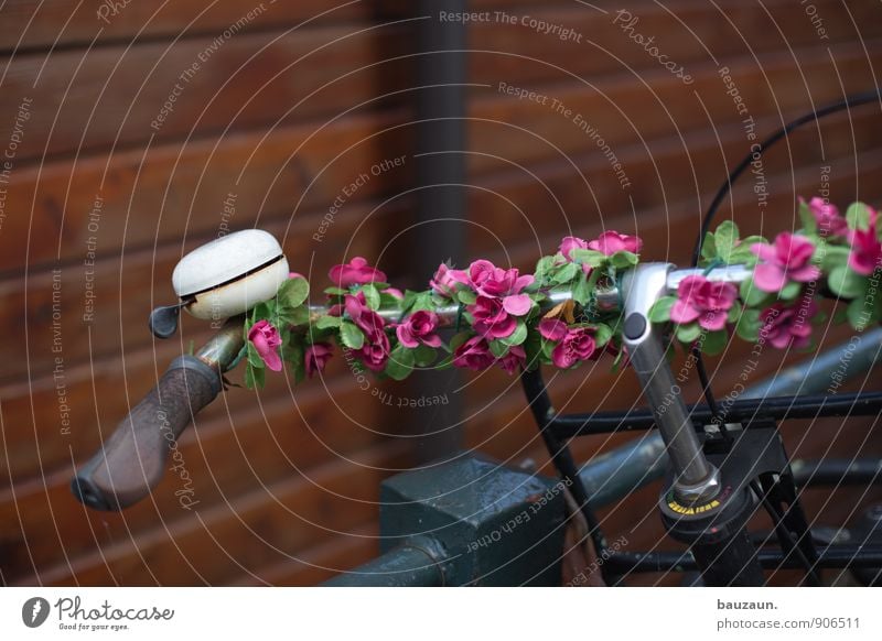 unecht. Lifestyle Stil exotisch Ausflug Fahrrad Blume Stadtzentrum Altstadt Verkehr Fahrradlenker Fahrradklingel Fahrradfahren Blütenkette Metall Kunststoff