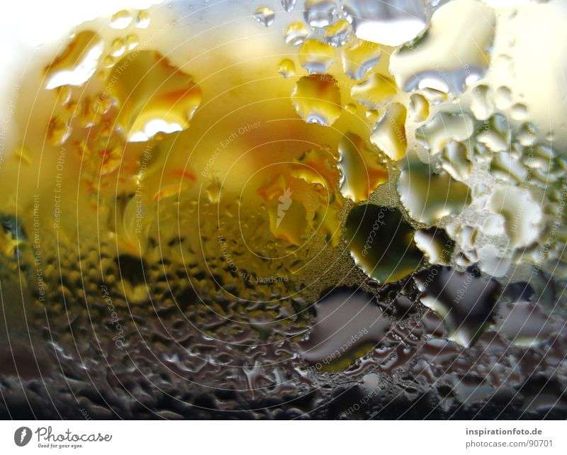 neulich beim duschen Wassertropfen Glasscheibe gelb grün schwarz Reflexion & Spiegelung Makroaufnahme Nahaufnahme Fensterscheibe beschlagene Scheibe