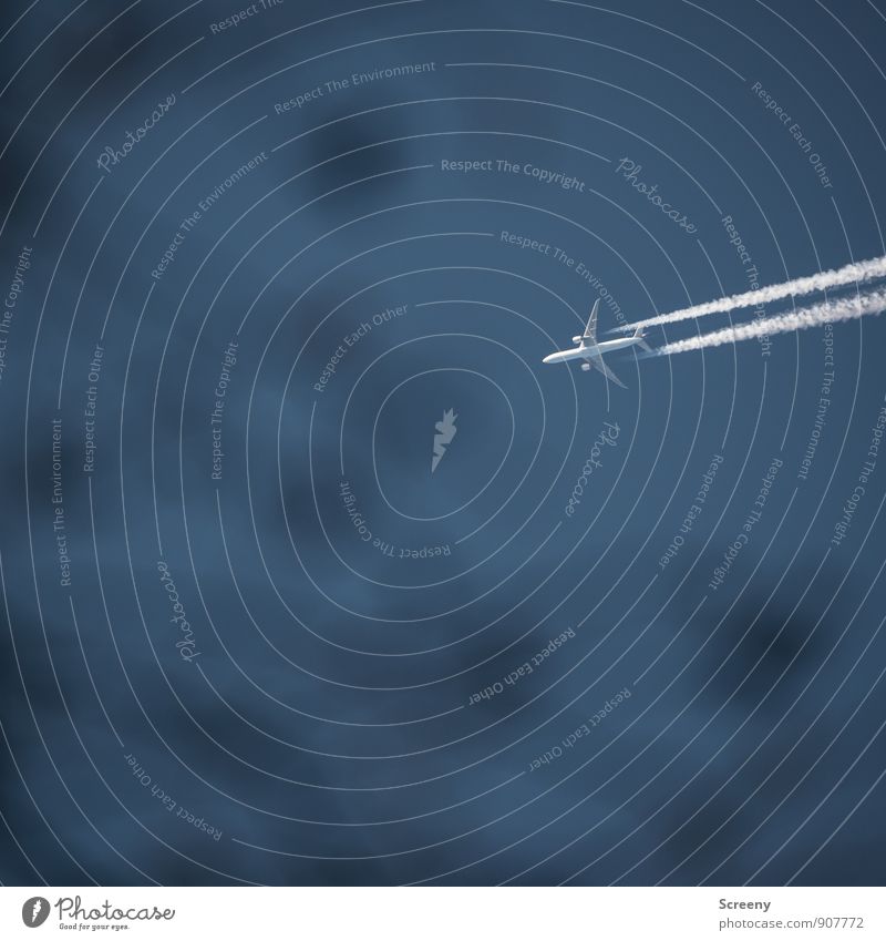 Eifach fott.... Umwelt Himmel Wolkenloser Himmel Sträucher Verkehrsmittel Luftverkehr Flugzeug Passagierflugzeug Kondensstreifen fliegen hoch Geschwindigkeit