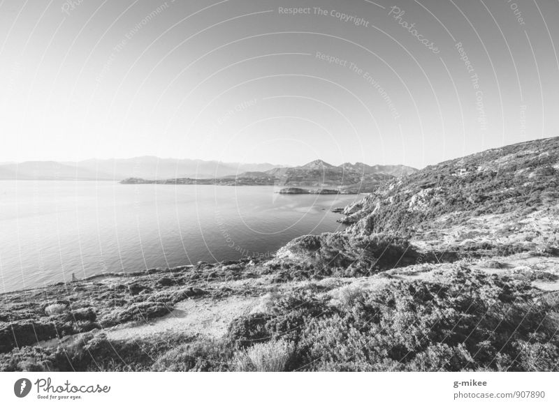 Insellandschaft Natur Landschaft Erde Wasser Himmel Felsen Ferne groß Korsika Mittelmeer Urlaubsort Aussicht Schwarzweißfoto Außenaufnahme Menschenleer Kontrast