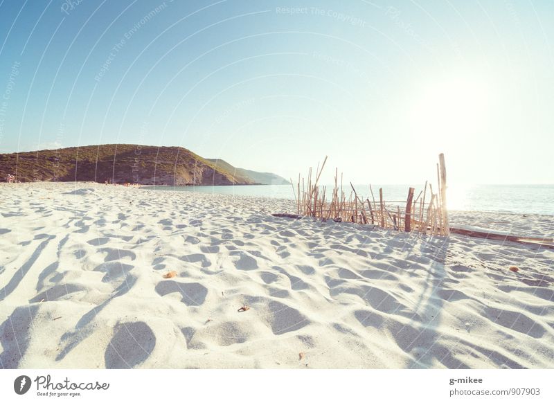 Strand Landschaft Sand Wasser Sommer Schönes Wetter entdecken Erholung träumen Wärme Ferien & Urlaub & Reisen Korsika Reisefotografie Mittelmeer Sandstrand