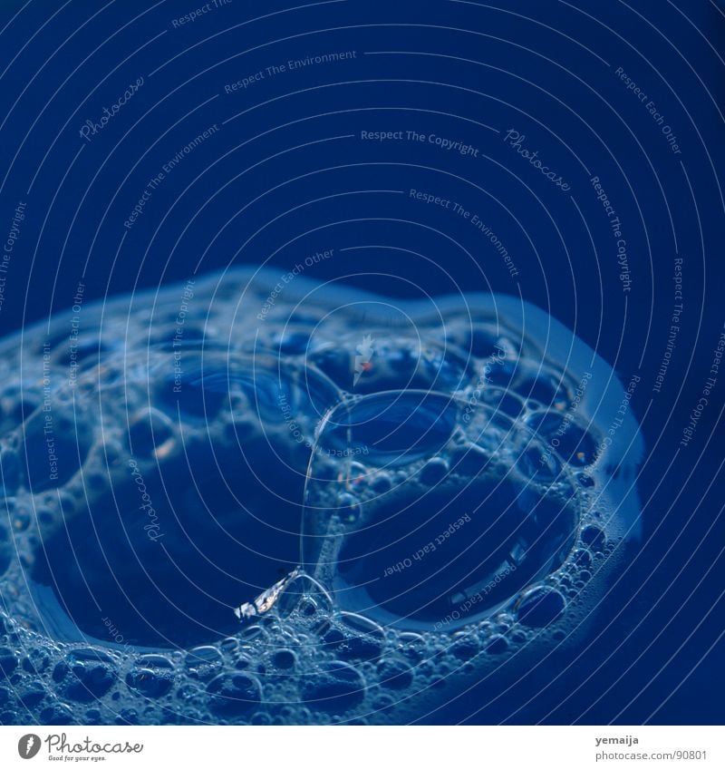 Ein Feldbusch Schaum Seife Seifenblase Flüssigkeit rund Makroaufnahme Nahaufnahme Blubbern Blase Wasser blau foam spieglung