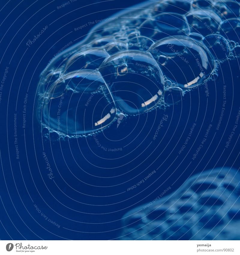 Ein Feldbusch II Schaum Seife Seifenblase Flüssigkeit rund Makroaufnahme Nahaufnahme Blubbern Blase Wasser blau foam spieglung