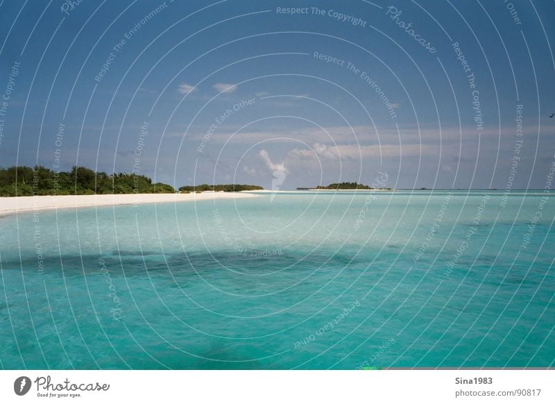 Ein Traum.... Malediven Ferien & Urlaub & Reisen Sommer Meer türkis kalt Physik Süden Erholung Einsamkeit Palme Wolken Insel kandooma Wasser Wärme Sand