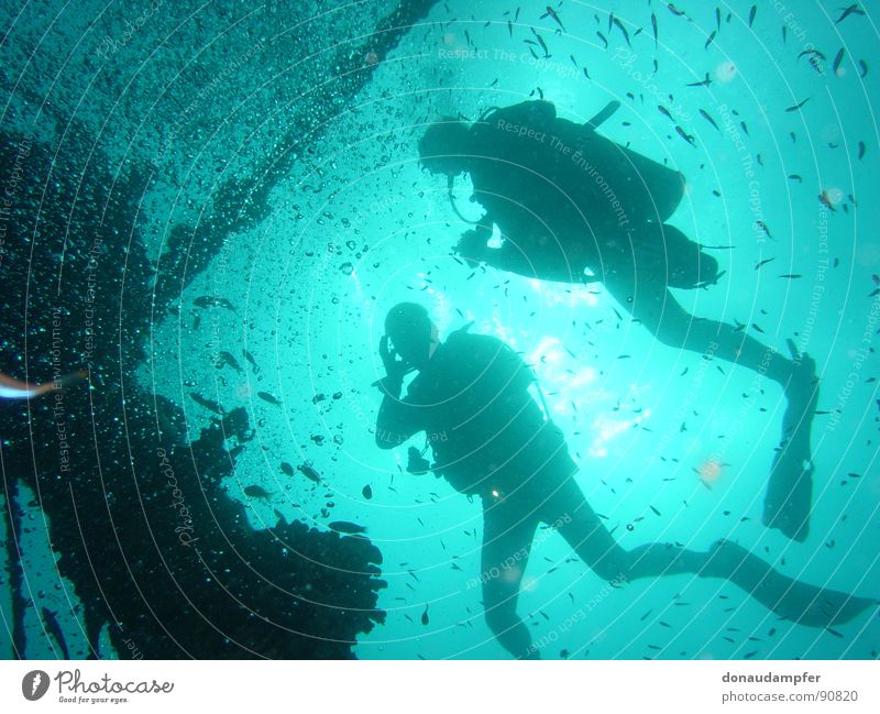 Under the Sea Malediven tauchen Ferien & Urlaub & Reisen Gegenlicht 2007 Physik kalt Freizeit & Hobby Schiffswrack Machafushi Wasser blau Schwimmhilfe Glück