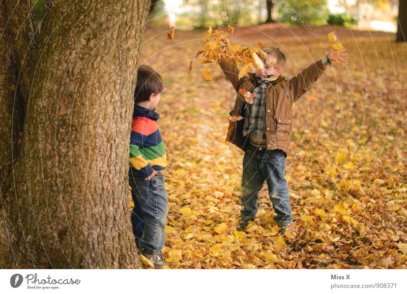 Der König Freizeit & Hobby Kinderspiel Mensch Kleinkind Junge Geschwister Bruder Freundschaft Kindheit 2 1-3 Jahre 3-8 Jahre Herbst Schönes Wetter Baum Blatt