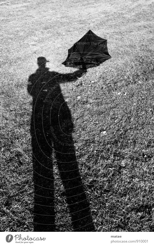Schatten - Schirm Mensch maskulin Mann Erwachsene Regenschirm festhalten schwarz Schattenspiel Gegenlicht fliegen Drachen Sonnenschirm Pfosten Stelzenläufer