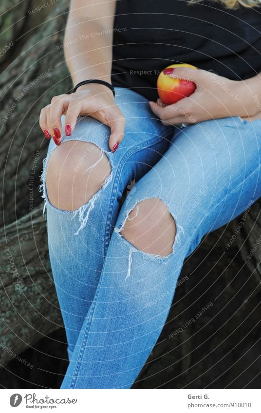 junge Frau mit Apfel in der Hand und Jeans im used Look mit Löchern in den Knien Stil Gesunde Ernährung feminin Jugendliche Körper 1 Mensch 13-18 Jahre Kind