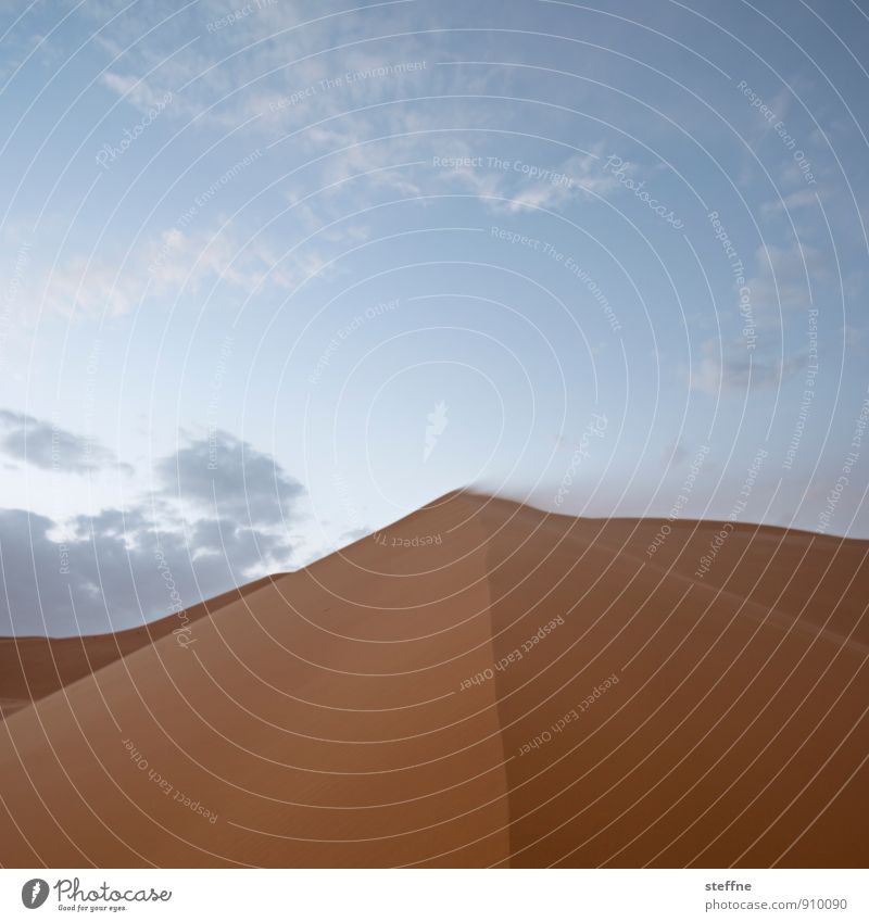 Wüste (1/10) Sand Düne Wärme Ferien & Urlaub & Reisen Tourismus Naher und Mittlerer Osten Arabien Sahara 100 und eine Nacht Marokko Algerien Tunesien Abenteuer