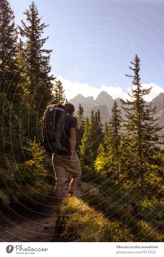 Herbst-sonn-tag Junger Mann Jugendliche sportlich wandern Außenaufnahme Berge u. Gebirge Wald Farbfoto