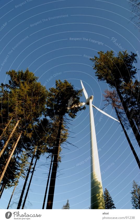 Windkraft am Roßkopf 4 Himmel Nadelbaum Wald himmelblau Geometrie Laubbaum Perspektive Nadelwald Waldwiese Paradies Waldlichtung Windkraftanlage Elektrizität