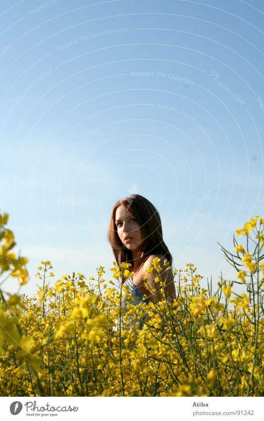 das mädl aus dem raps Raps Feld gelb Landwirtschaft Frau feminin Kleid Wolken Porträt Sommer Himmel Schönes Wetter Farbe Blick