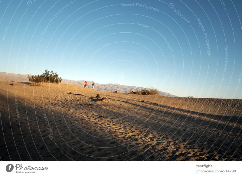 sand Umwelt Natur Landschaft Pflanze Wolkenloser Himmel Wüste Death Valley National Park Umweltschutz Staub Düne Wüstenpflanze Wärme heiß Farbfoto Morgen