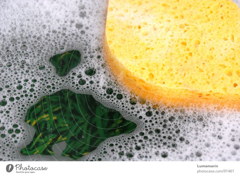 Verspült Geschirrspülen Schaum Wasseroberfläche Im Wasser treiben Küche Schneidebrett Gras grün gelb mehrfarbig Spielen positiv Fröhlichkeit Freude