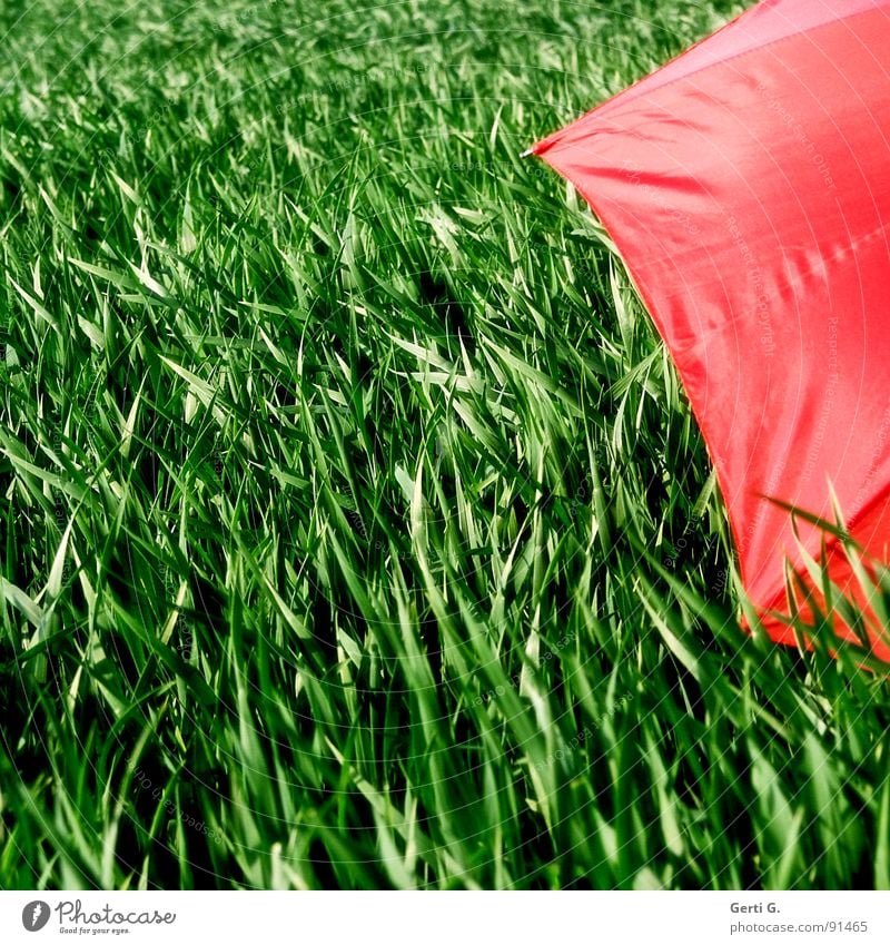 praktisch, quadratisch, abgeschirmt charmant Sonnenschirm Schutzausrüstung Regenschirm rot Sommer Feld Kornfeld frisch mehrfarbig grün-rot Landwirtschaft Wind