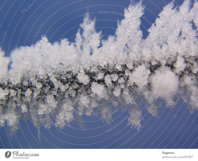 Frost... Winter kalt obskur Eis Kristallstrukturen Natur blingbling Schnee