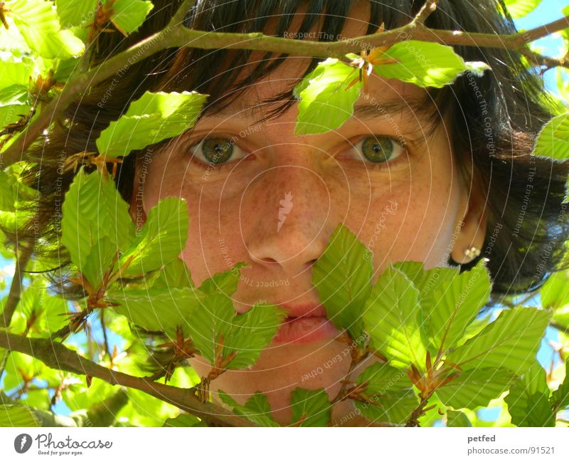 Dschungelkind I grün Blatt Gefühle Frühling Gesicht Auge Versteck ruhig Ast